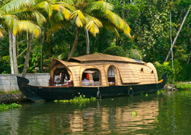 Things to Do in Kerala Tour